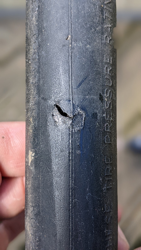 PXL_20220522_121230898.PORTRAIT