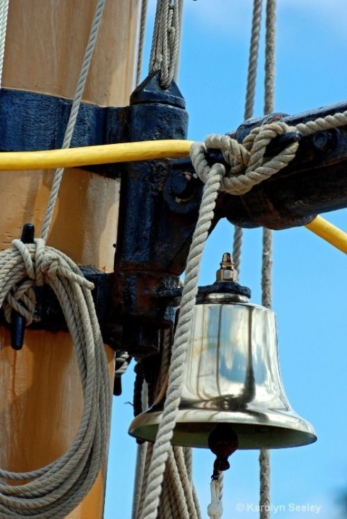 silvershipbell.jpg