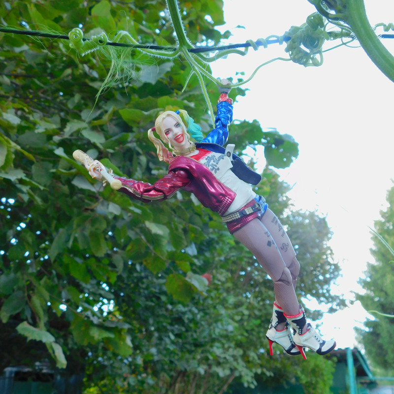 Дачно-Харлинский июнь-июль 2024 351