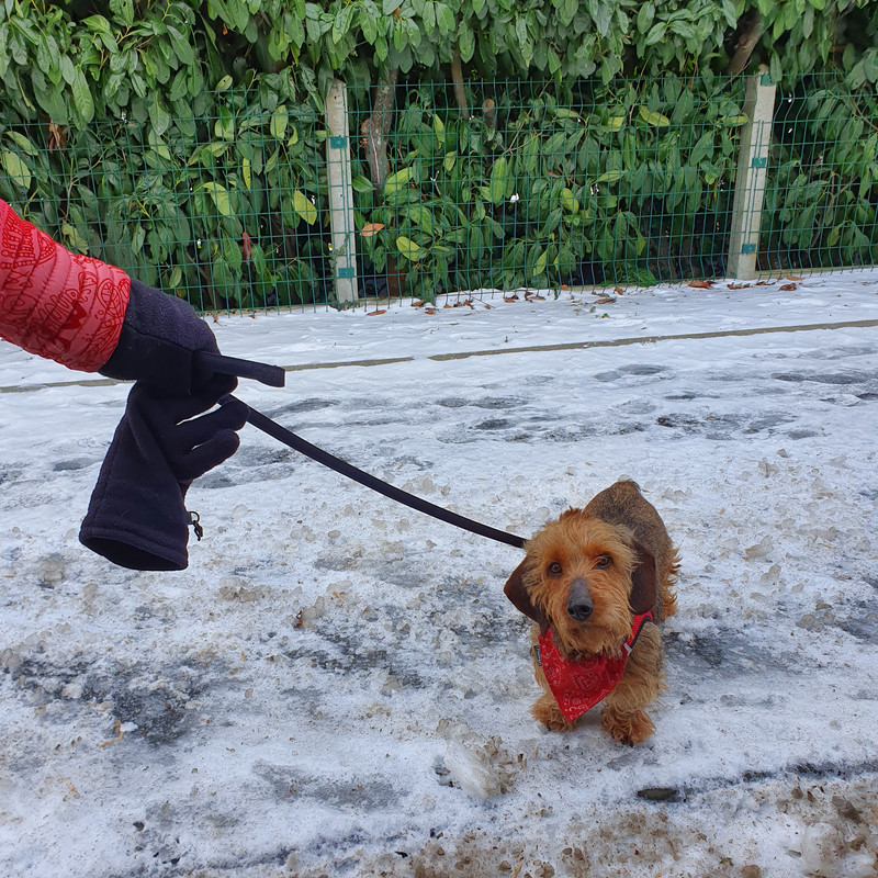 [Image: 20210213-145508.jpg]