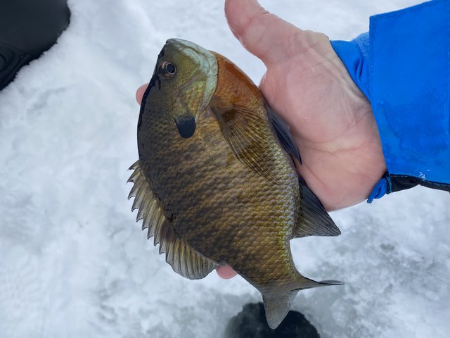 54B89AFF-51CA-4204-BE66-C289E6CE59F2