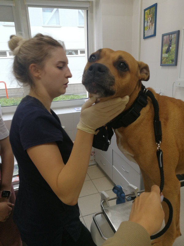 7A001F74-A892-432C-98A3-D9AD16F33A7A