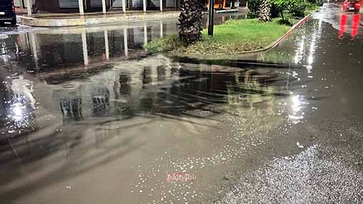 IMG-9849