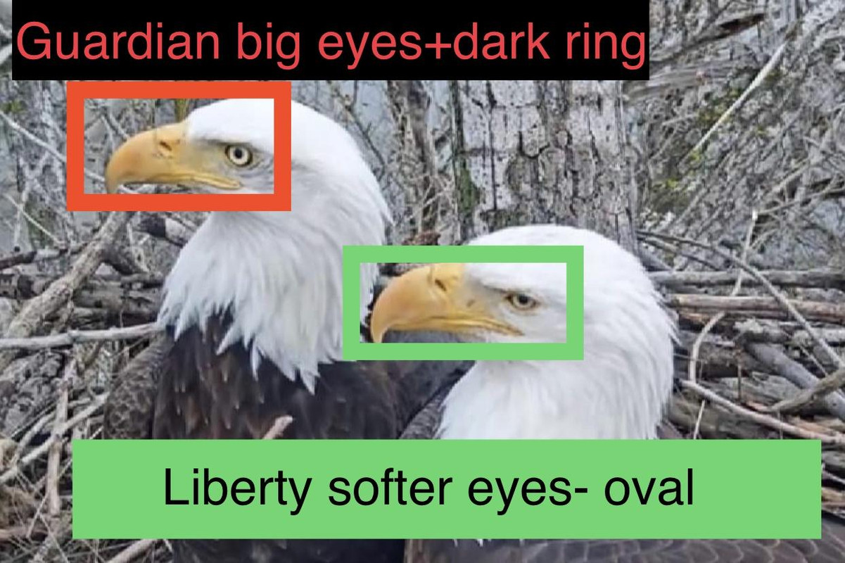 undefined - Imgur (5)