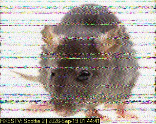 2026 09 19 01 44 41