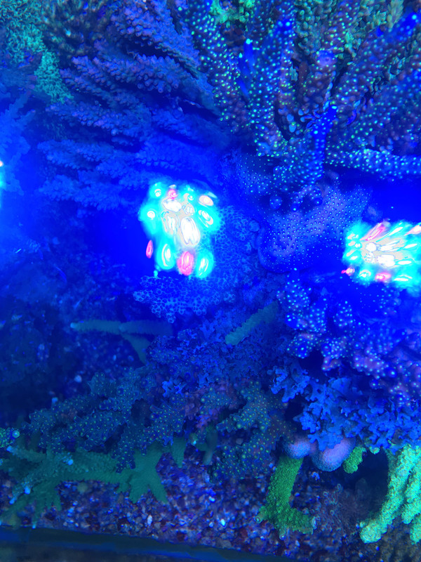 235E79C6-2DA9-4D46-AFED-E45EDA08C09A