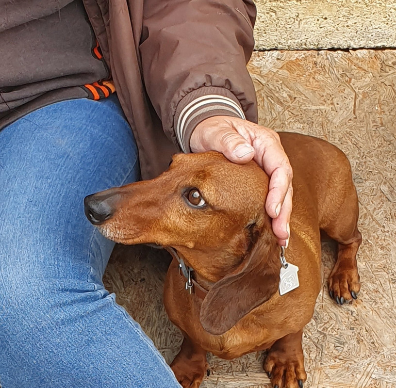 [Image: 20200623-215905.jpg]