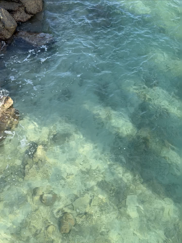 [Image: Miami-South-Point-Park0f.png]