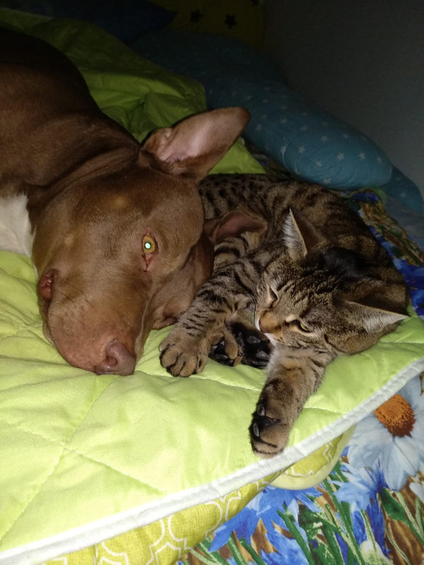 89B3041F-BD90-444B-81CD-F52A99400ACC