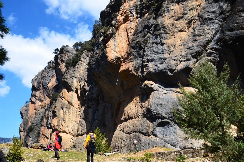 RUTA RIO BOROSA-12-3-2016-JAEN - Paseando por España-1991/2016 (116)