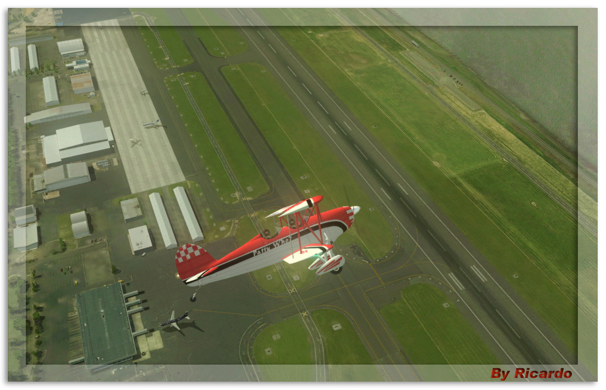 P5.jpg