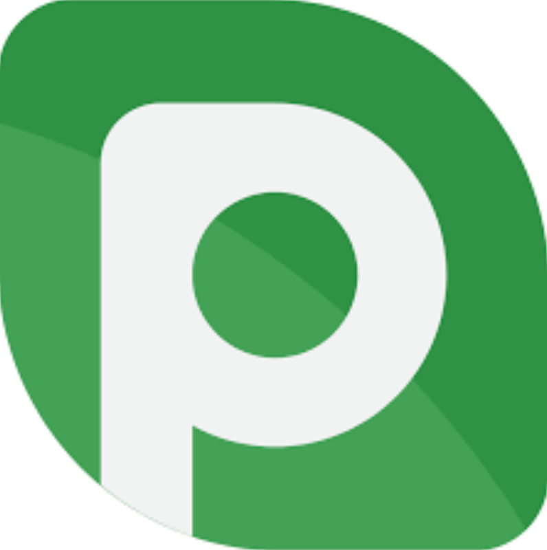 icon P