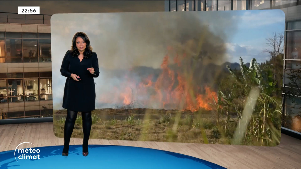 Planète info (Franceinfo)_2024_01_09_20_58_92.ts_snapshot_00.59.23.938