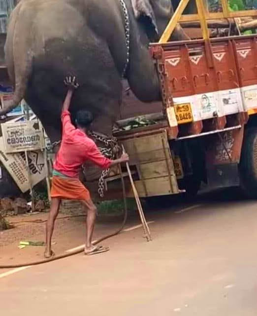 552835397-1800450510679562-2664695638844