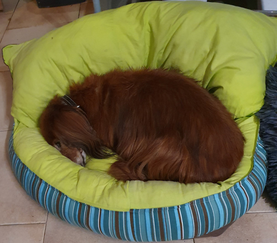 [Image: 20210208-201330.jpg]