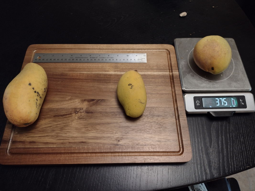 IMG_20210602_185635585_HDR