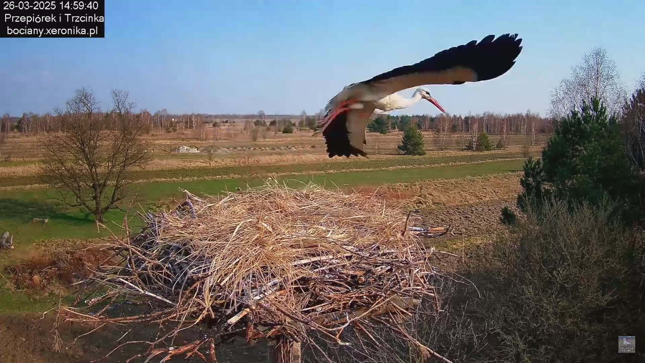 26032025Wpada bocius_17