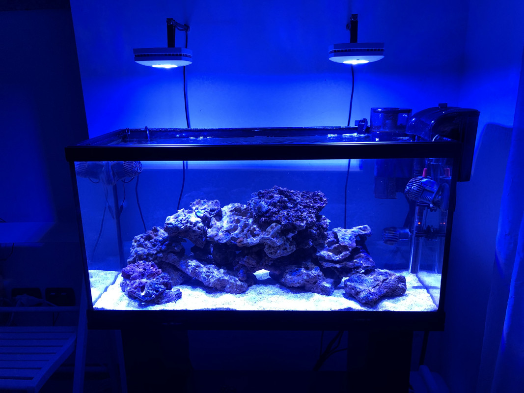 3E5C5C25-78C0-431A-8AE9-F25822DF6CB9