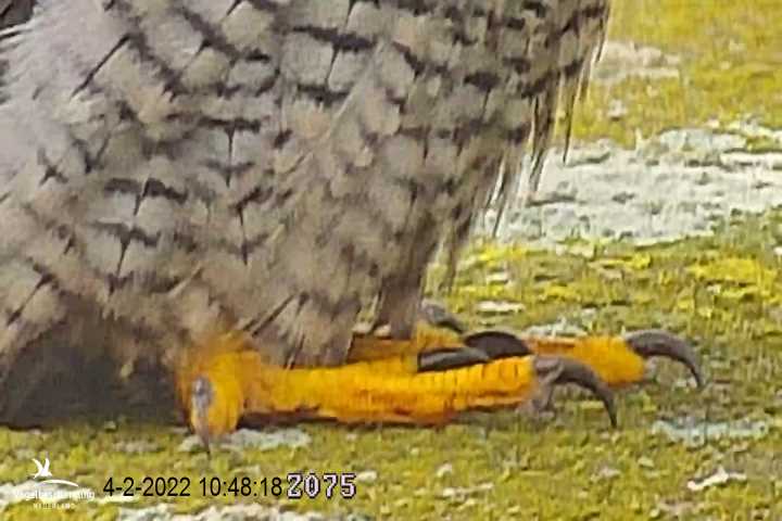 campics vanaf 30 januari © VWGGemert en bonusjes van ter plekke - Pagina 4 Cam-1-14