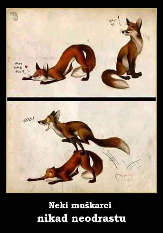 neki muškarci nikad ne odrastu