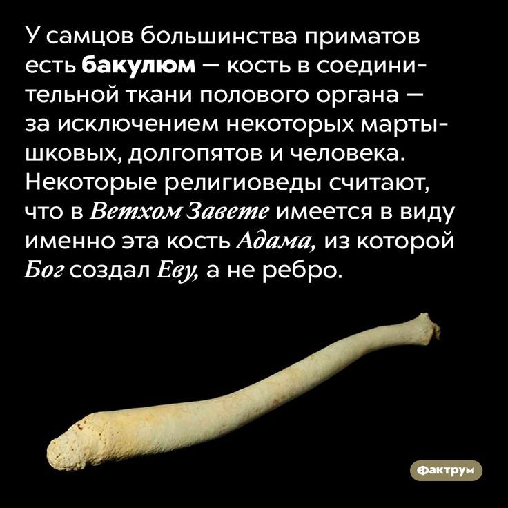 [Изображение: ccb6a4ae9d6d9505488c0eeec7fd5f80.jpg]