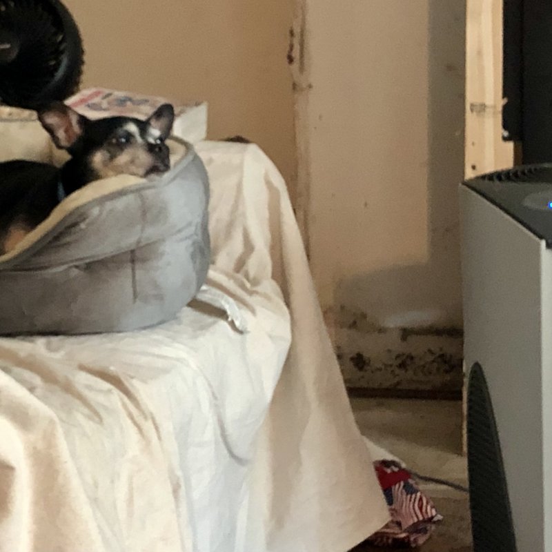 BD585F5D-1924-47DB-8F7B-05BD89FEBDF9