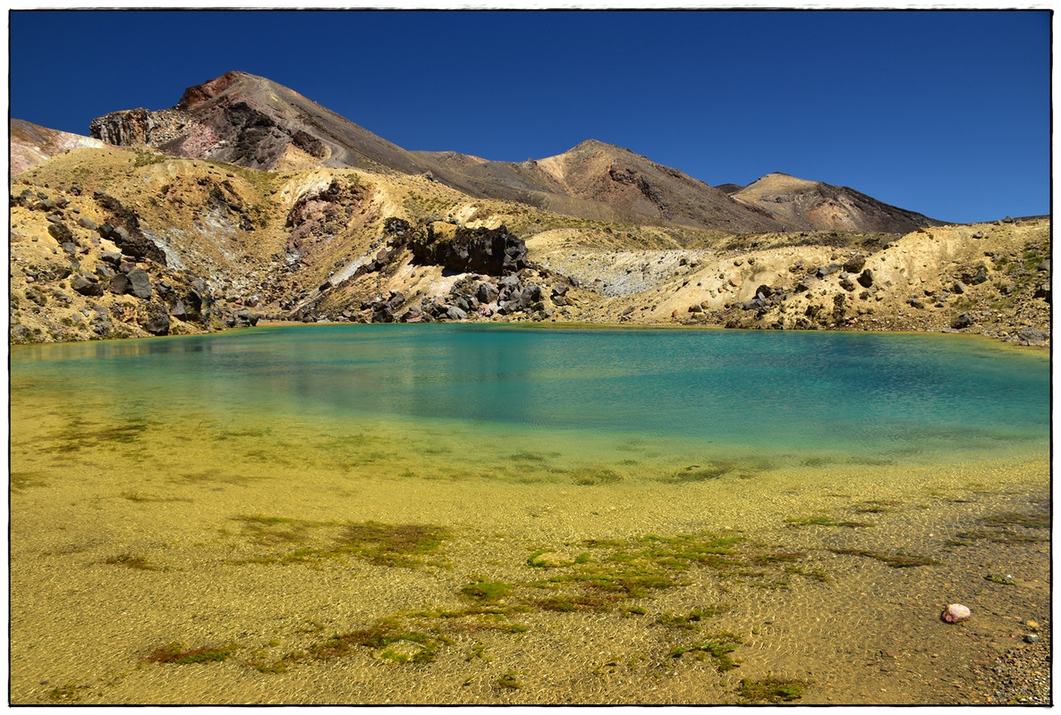 Tongariro NP: Tongariro Northern Circuit (enero 2022) - Escapadas y rutas por la Nueva Zelanda menos conocida (26)