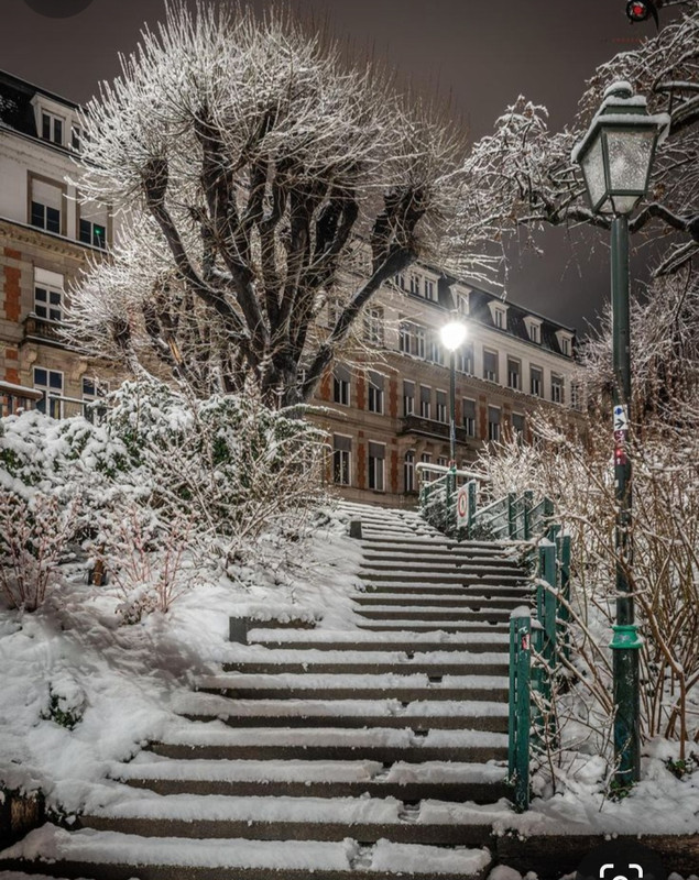 Screenshot_20231123_212242_Pinterest