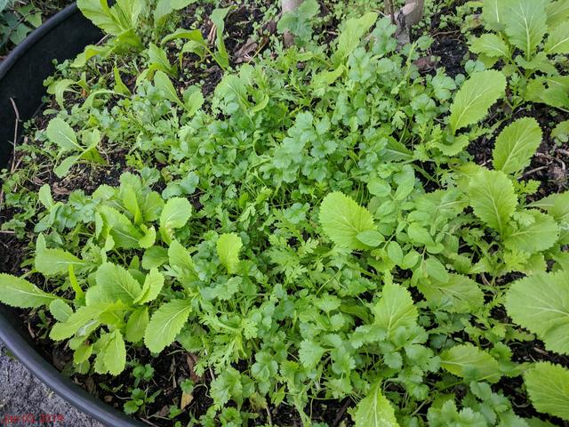 [Image: IMG-20190103-174349.jpg]