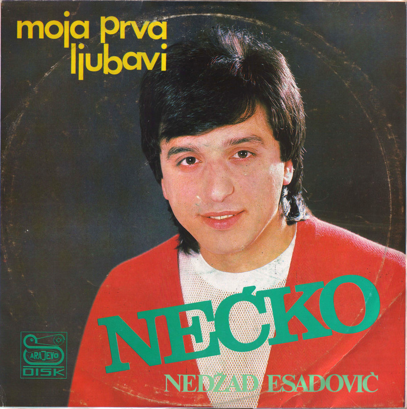 1989_Nedzad_Esadovic_Necko_omot1