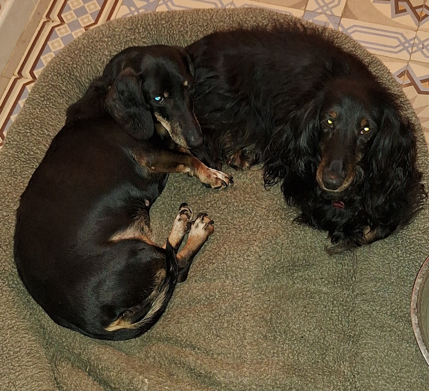 [Image: 20240226-212057.jpg]