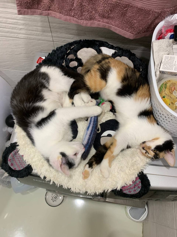 C1F0EBA6-8977-4FBD-9628-71820F744549