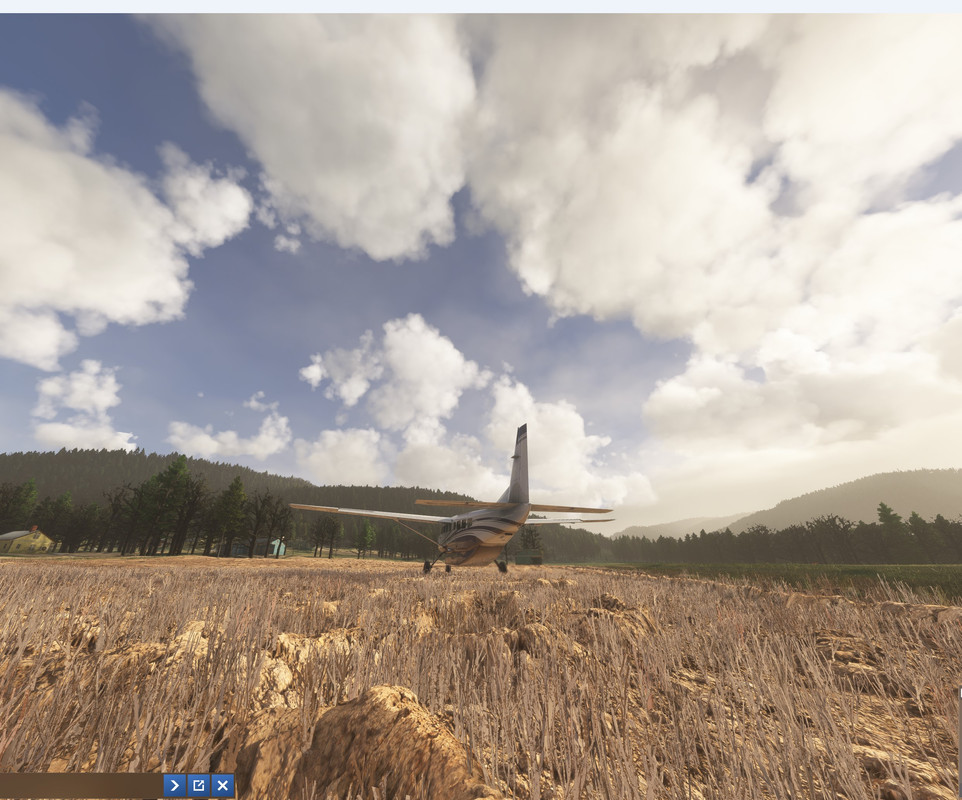 terrain-detail-2.jpg
