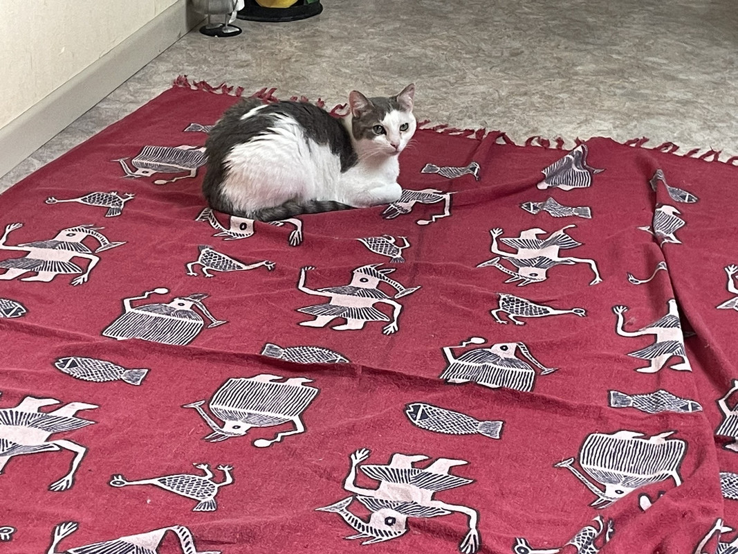 16B171F4-6D79-46D1-8222-3D36118FFFDC