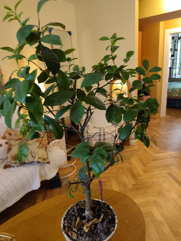 2025-09-30 13-30-36 (1)