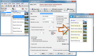 Exportizer Pro 7.0.9.50 Multilingual