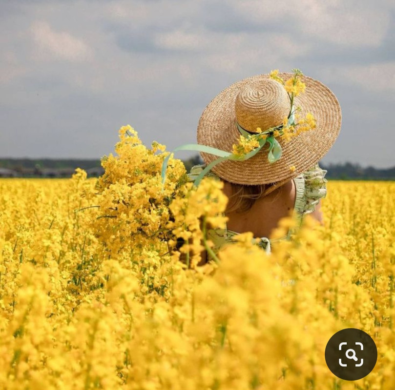 Screenshot_20230719_220915_Pinterest