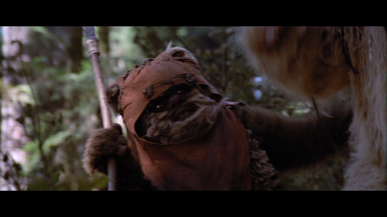 vlcsnap-2023-04-30-23h38m17s901