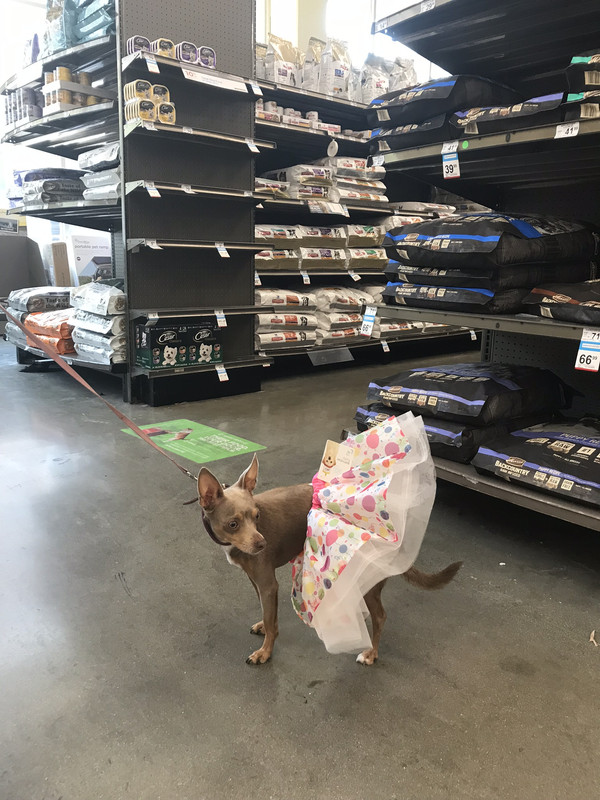 DB79C249-1C3F-4C10-BA29-D2191C2E24F6