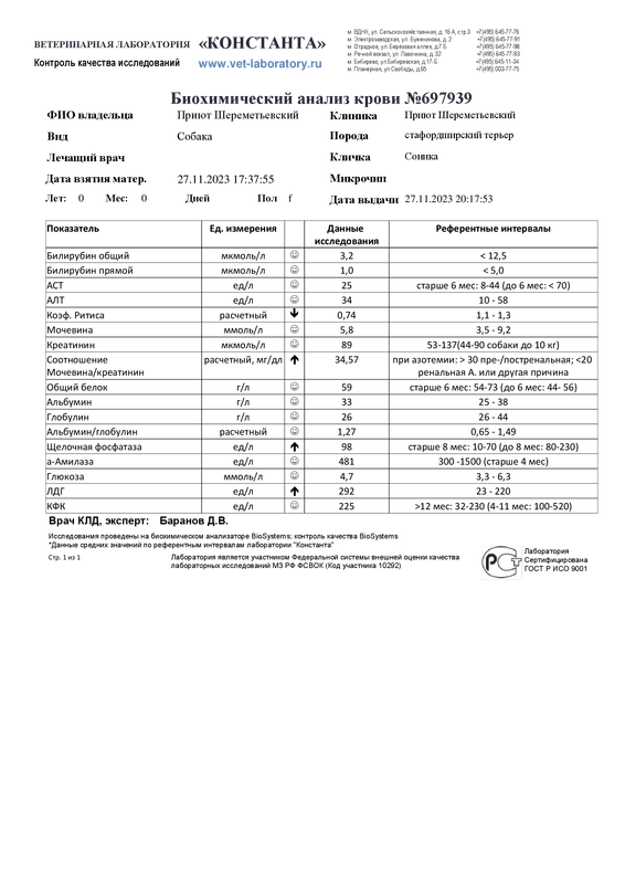 Биохимический анализ крови (697939)