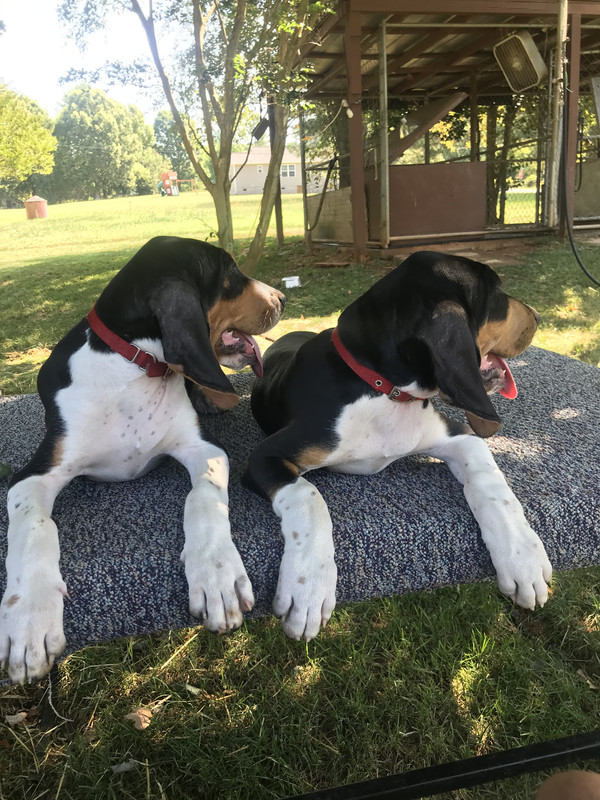 E8AEA615-A178-4B9F-9950-9BA588F694DA