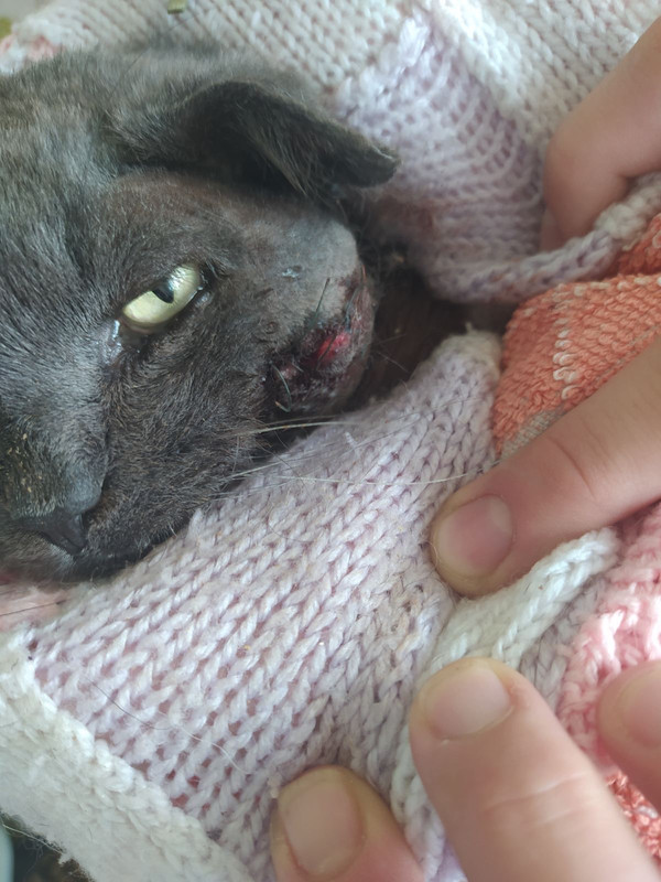 AF23BBE2-6028-4B11-9F9A-7FB8126452EF