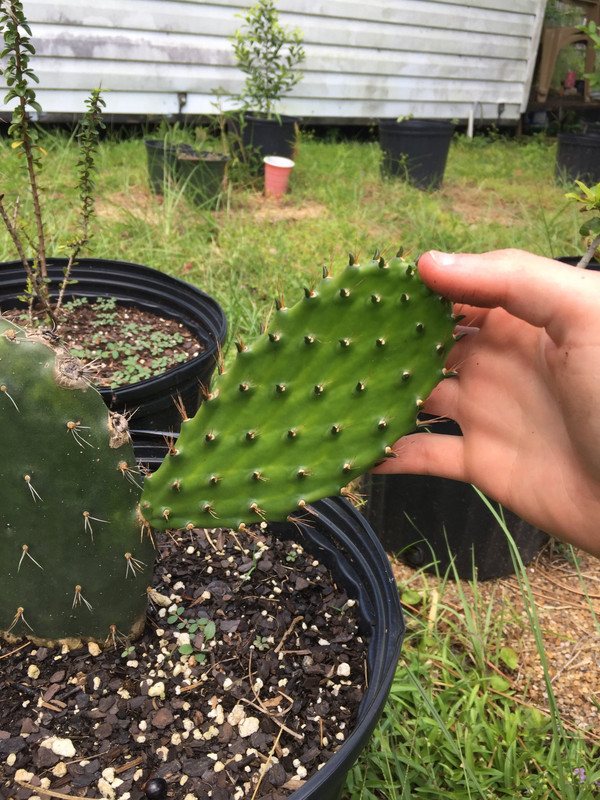 11C06C66-8BCC-4568-8463-F7CB4A476EAC