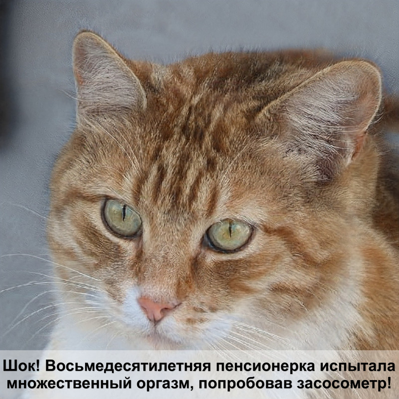 bozita корм для кошек