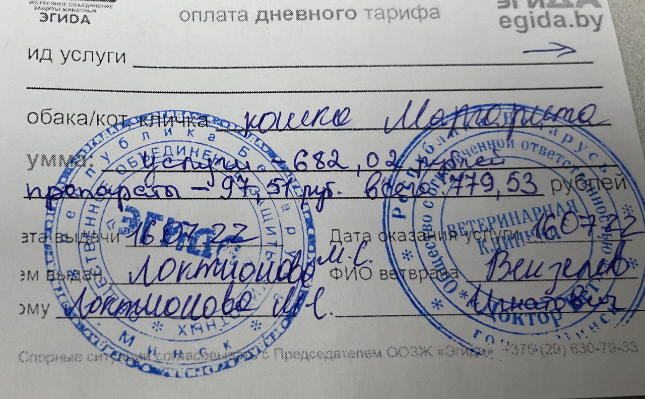 D8286D14-5F35-4BDA-8B4D-C8933328D2EF