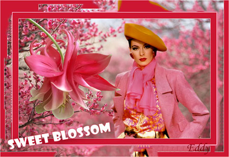 ROSE-SWEET-BLOSSOM-bloggers.jpg