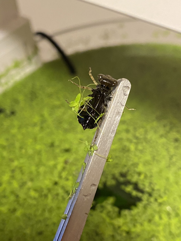 3E24246A-976A-4B2B-A7D0-780BD18C796B