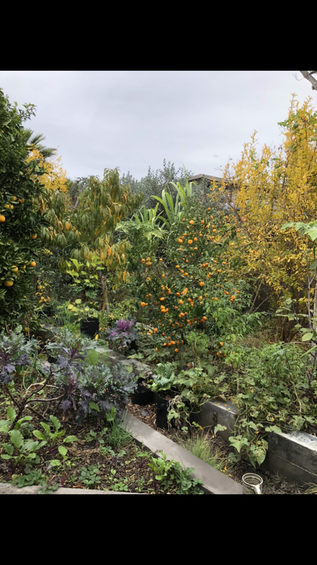 ED636568-C9D9-418C-A871-27CBD28D367D