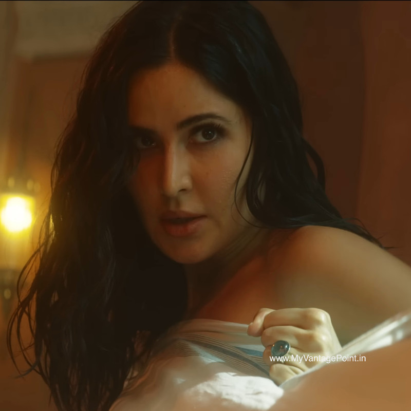 beautiful-katrina-kaif-in-tiger-3-movie