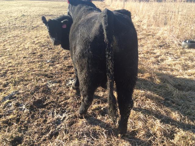 19065F68-6812-4DB9-AEFE-0D1ADD2FEAD1